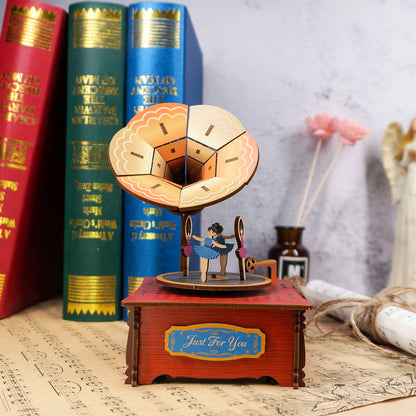 DIY 3D Wooden Puzzle Music Box | Phonograph