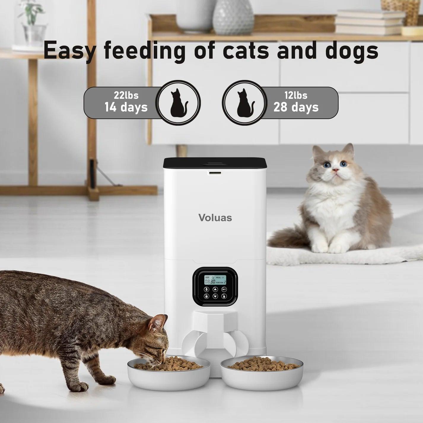 Automatic Cat Feeder - The Emporium