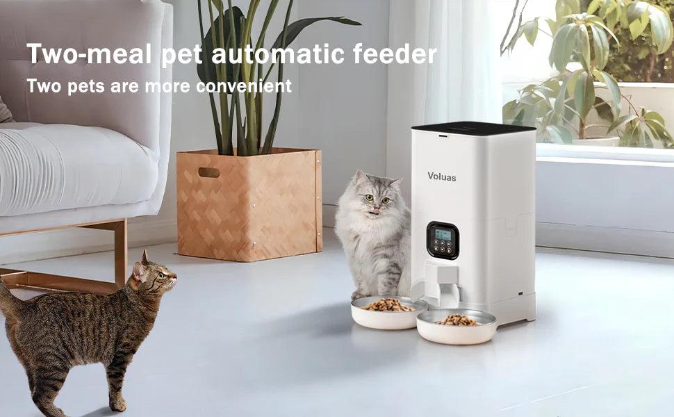 Automatic Cat Feeder - The Emporium