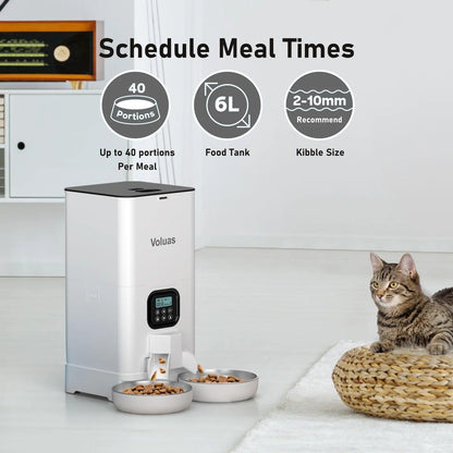 Automatic Cat Feeder - The Emporium