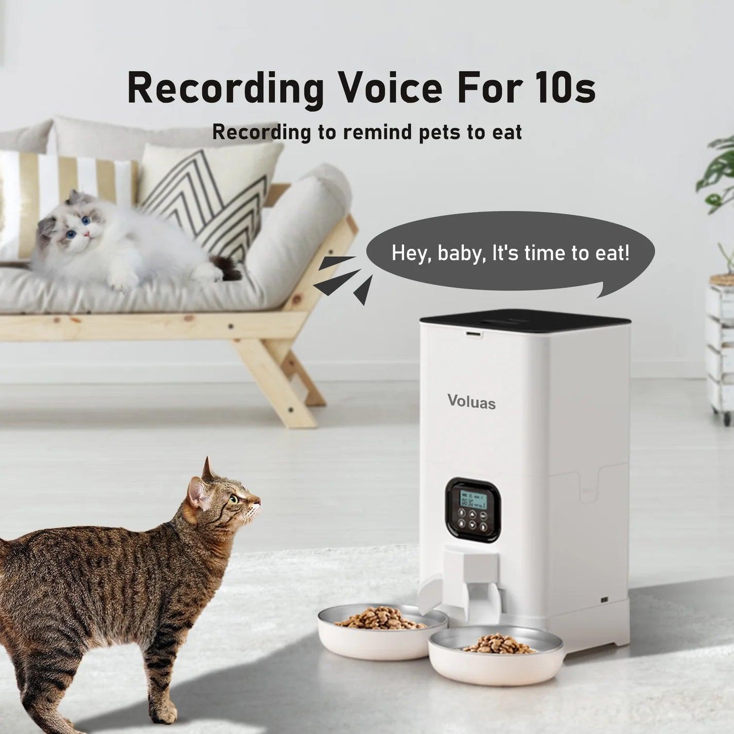 Automatic Cat Feeder - The Emporium