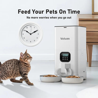 Automatic Cat Feeder - The Emporium